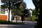 International Style, 1920-1960 
